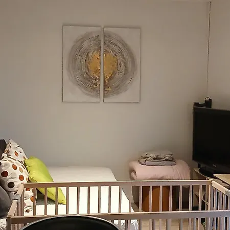 20m2 Climatisation Reversible 3 Pers 2 Animaux