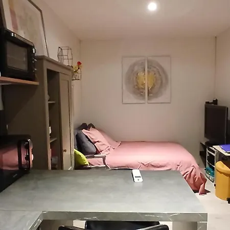 20m2 Climatisation Reversible 3 Pers 2 Animaux Lägenhet *