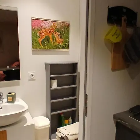 20m2 Climatisation Reversible 3 Pers 2 Animaux Appartement