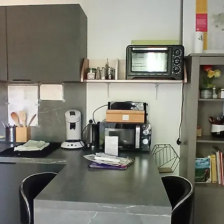 Apartment Clim 4-5 Pers Animaux, Mai Oct Et Piscine *