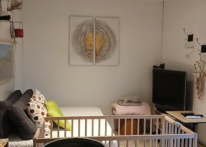 20m2 Climatisation Reversible 3 Pers 2 Animaux