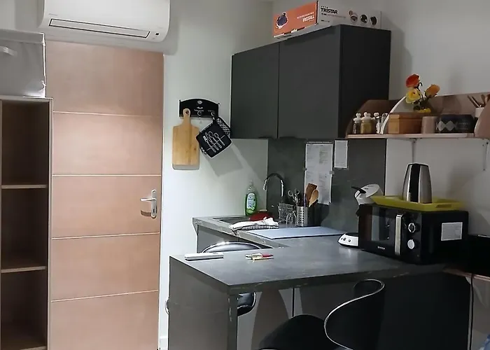 20m2 Climatisation Reversible 3 Pers 2 Animaux *