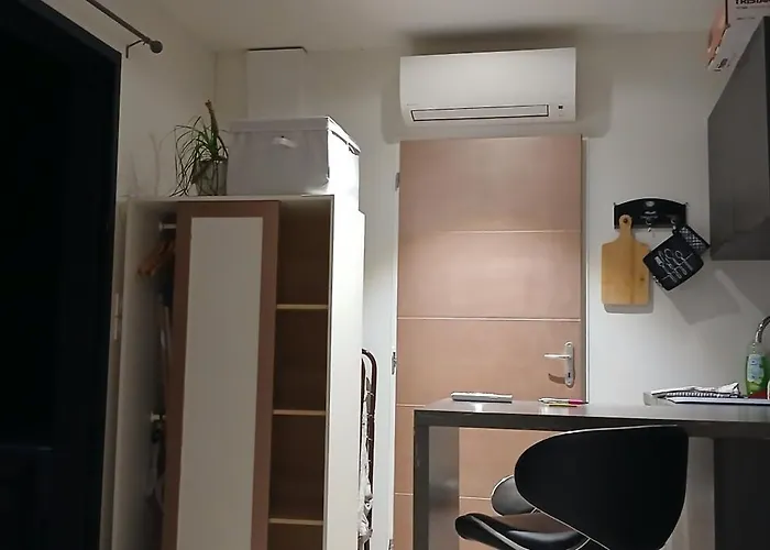 20m2 Climatisation Reversible 3 Pers 2 Animaux *