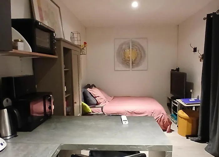 20m2 Climatisation Reversible 3 Pers 2 Animaux Lägenhet *