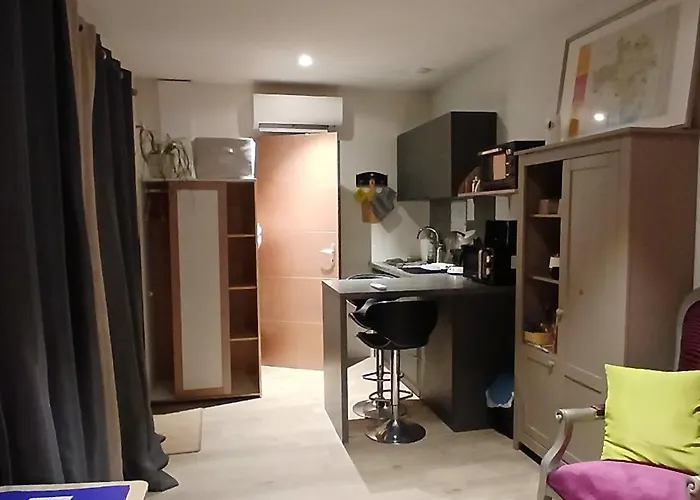 20m2 Climatisation Reversible 3 Pers 2 Animaux *