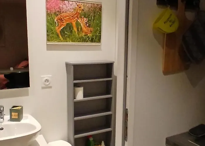 20m2 Climatisation Reversible 3 Pers 2 Animaux Lägenhet